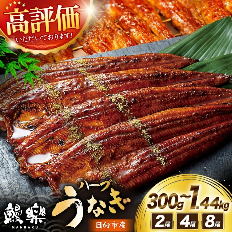 ふるさと納税 失敗しない 40代主婦